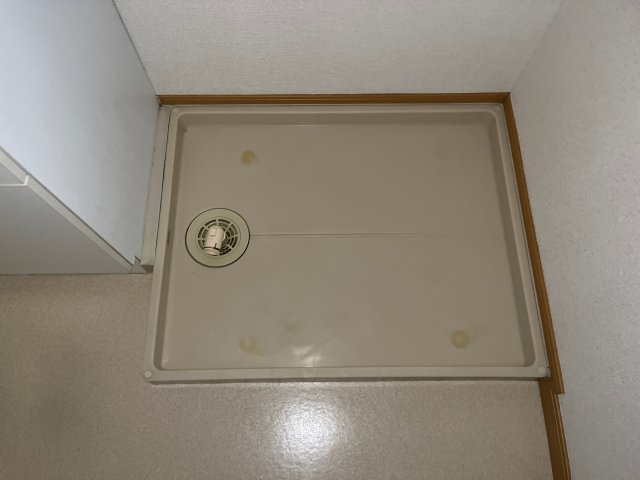 Ｋ’ｓ　Ｌｉｆｅのその他