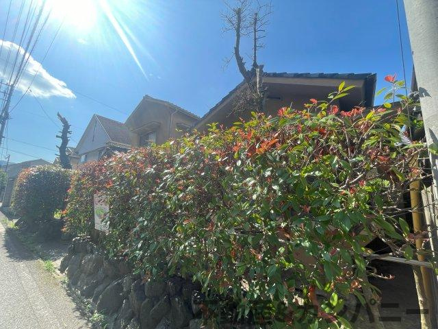 上市2丁目のおトチ　松山市上市2丁目売土地の外観|外観です