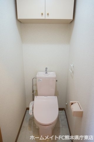 熊本市東区長嶺東８丁目の賃貸マンションのトイレ
