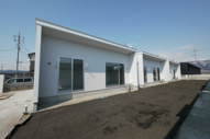 albusの画像