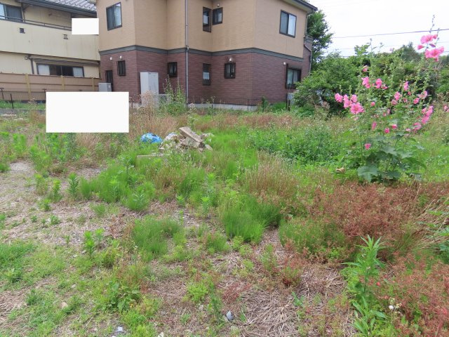 坂戸市戸宮売地の外観