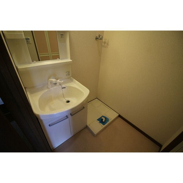 アムール SHINYA の洗面所