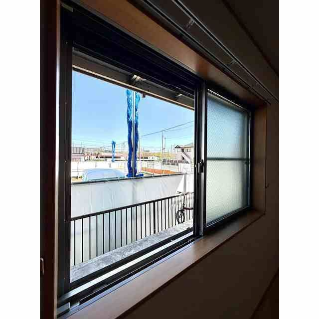 アムール SHINYA の展望