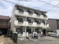 メゾン桐の木の画像