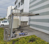 【その他共用部分】秋桜 