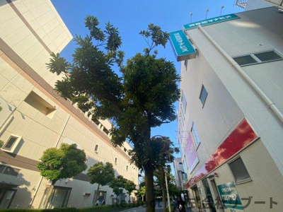 【周辺】 |  細矢ビル