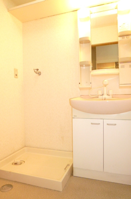 ラ・エスペランサ【キャッシュバック対象】の洗面所