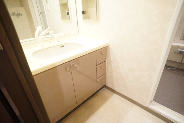 ステイツ逆瀬川宝梅の洗面所