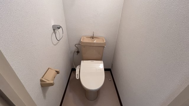 ルネッサンス・アンのトイレ