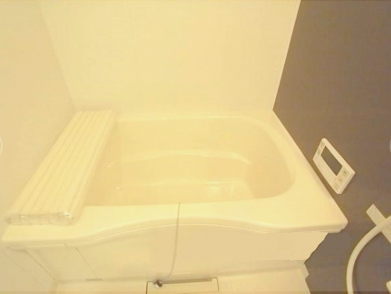 シュロス京西陣の浴室