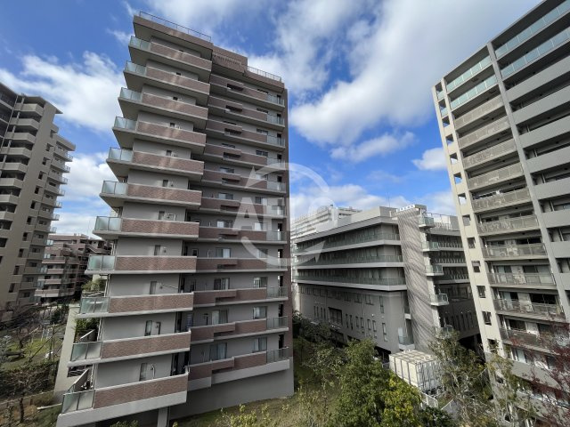 リバーガーデンタワー上町台筆ヶ崎　桃陽小学校の展望|リバーガーデンタワー上町台筆ヶ崎　眺望