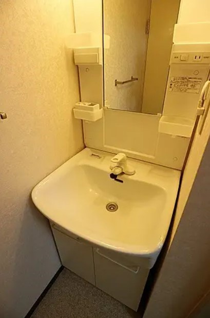 グリーンパレス柿木N棟の洗面所