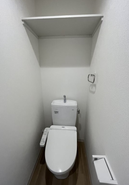 メゾン・アイビーのトイレ