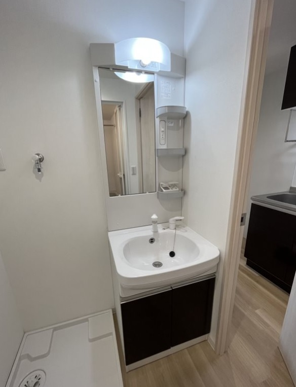 メゾン・アイビーの洗面所