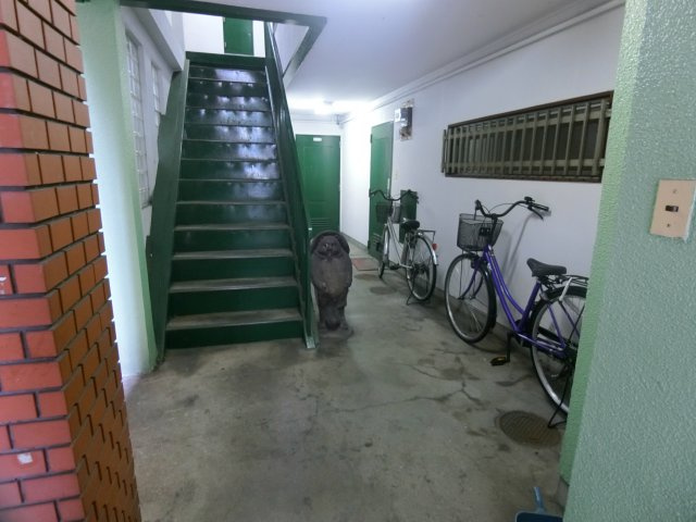 【エントランス】 | グリーンハイツ芳見屋