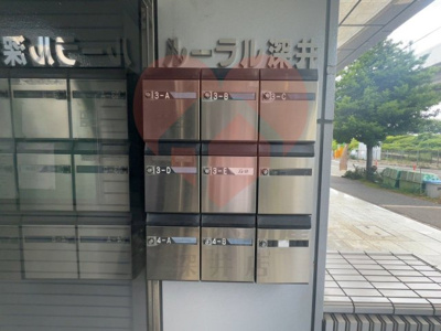  | ルーラル深井