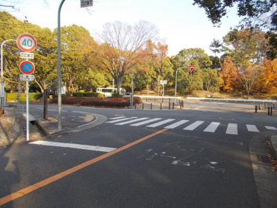 【周辺】 | ローレルコート新千里東町あかしやの丘Ⅳ番館 | 前面道路