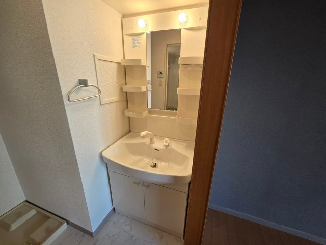 Casone asso|名古屋市の賃貸ならMy賃貸の洗面所|Casone asso