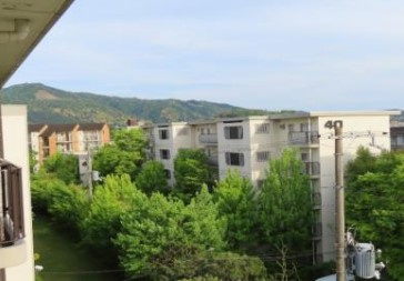 【展望】 | S51640-東大路高野第三住宅35棟