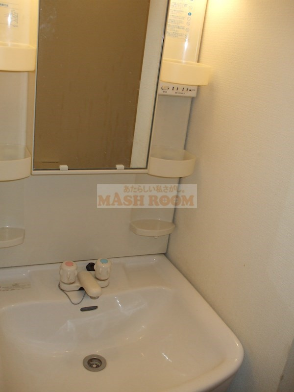 ビジュー野方の独立洗面台