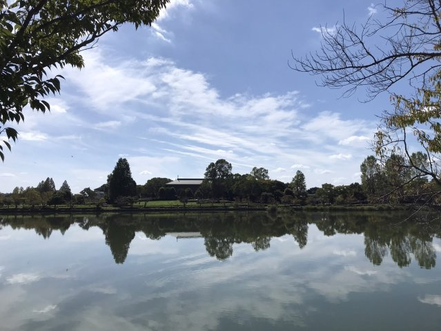 リバーサイドハウスの周辺|千波湖まで徒歩10分♪
春は桜、夏は花火、四季折々の景色の中、日々のウォーキングやジョギングも楽しめる♪