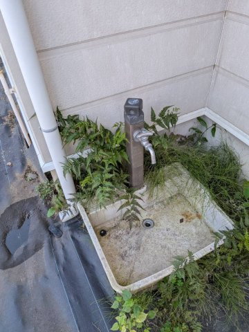 水戸市見和２丁目の一戸建ての庭