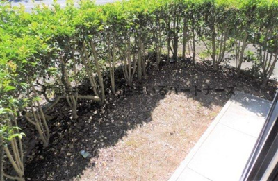 【庭】 | グリーンパーク徳間D | お庭で自由な時間を過ごせます