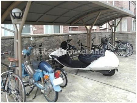 ピーヌス カウダのその他共用部分