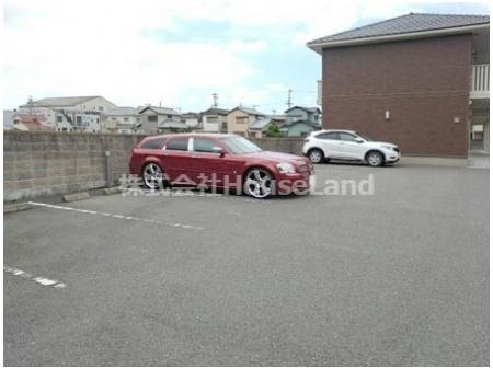 ピーヌス カウダの駐車場