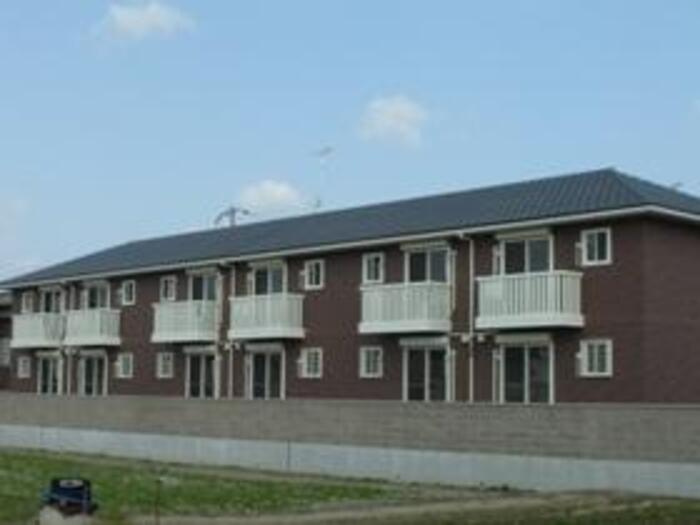 ピーヌス カウダの外観