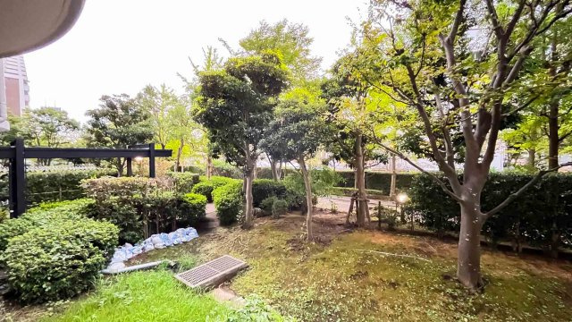 清新南ハイツ1-18号棟の展望