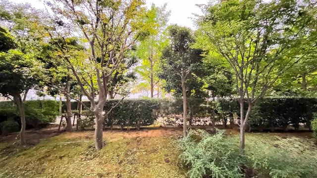 清新南ハイツ1-18号棟の展望