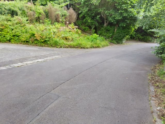 売土地　田方郡函南町平井の外観|閑静な住宅地に位置しているので静かで落ち着いた雰囲気です。緑豊かな場所にあります。自然を身近に感じる事が出来ます。
