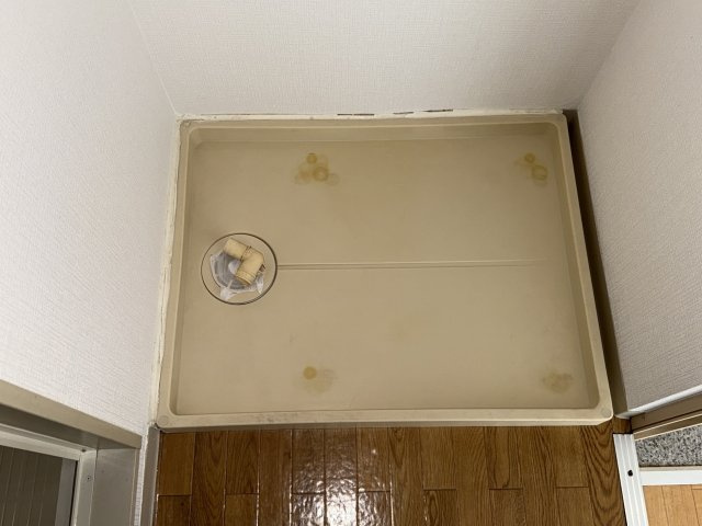 パレス苫編1番館のその他