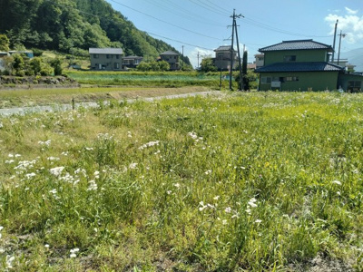 【外観】 | 辰野町赤羽 売地⑤ | 外観