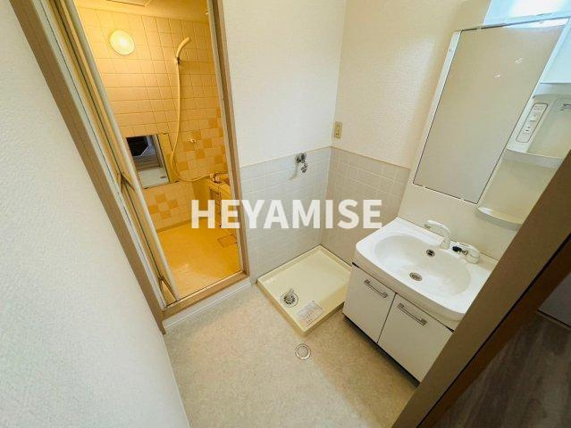 第2マスダハイツの洗面所