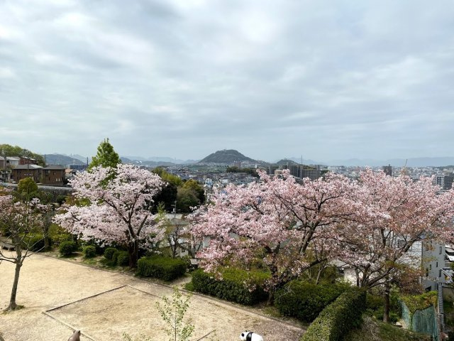 【周辺】 | 桜の季節、近くの公園からはこのような眺望が広がります。