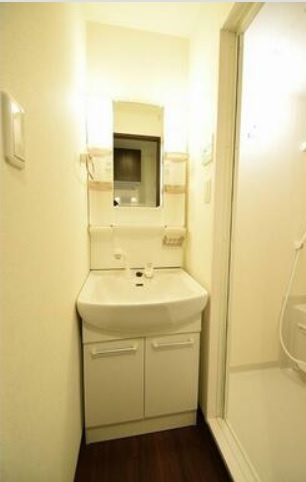 京洛マンションの洗面所