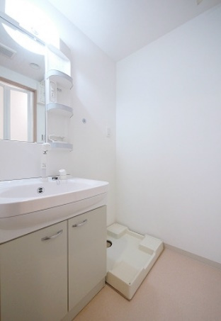 メゾン・イーグルの洗面所