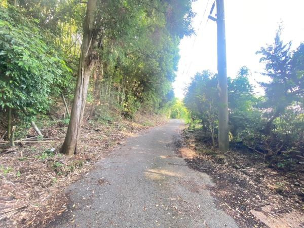 海南市阪井　土地の前面道路含む現地写真