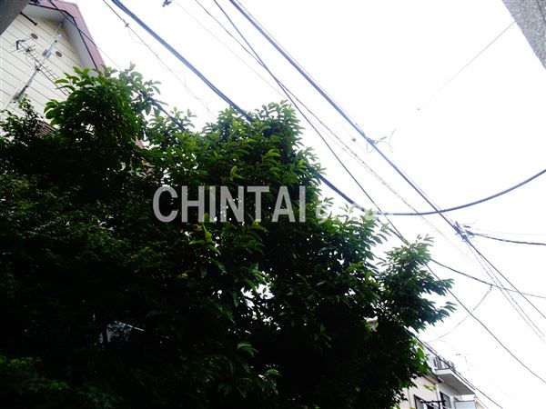 山茶ハイツの展望