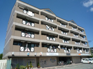 ビエンフェオークラの画像