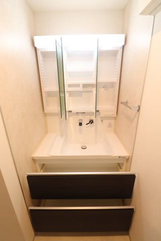 Freesiaの洗面所