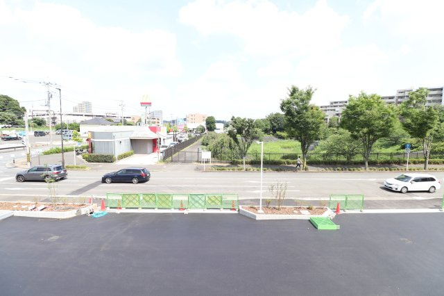 Freesiaの展望