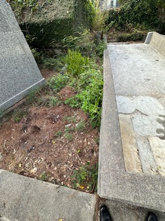 嘉手納墓地の外観