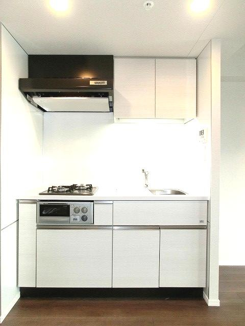 ParkAxis東上野のキッチン|パークアクシス東上野のキッチンです、グリル付きガス２口システムキッチン広々シンクに豊富な収納棚です