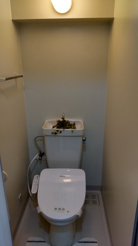 エクセレント御所西のトイレ