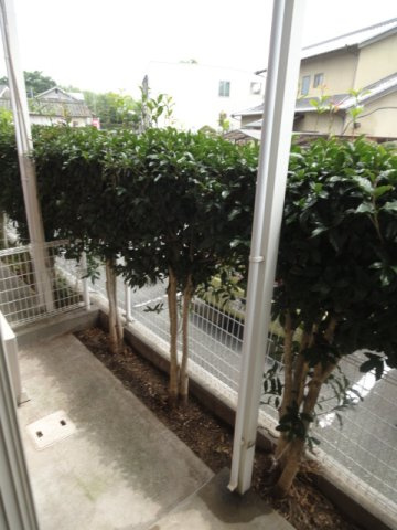 立願寺ハイツの庭