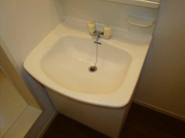 紅葉ガ丘フォーテックⅡの洗面所