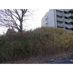 東垂水町字高丸売地|来客時にも便利な和室付き